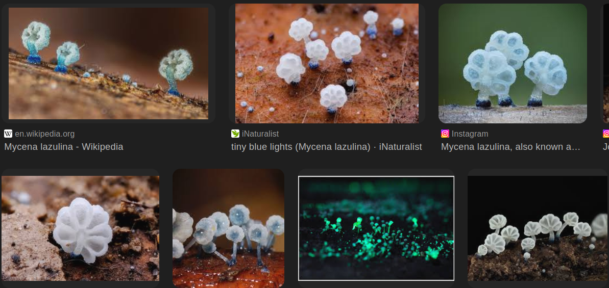 efdb310c-7201-4099-8c47-862257d19b1a