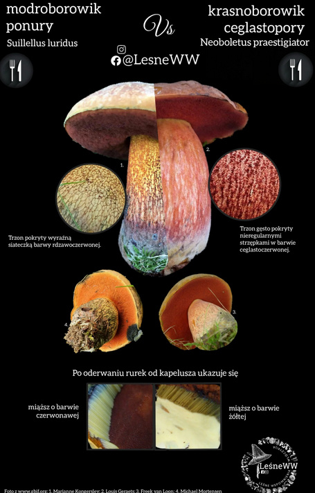 64404087-b693-449d-a51c-7653546528fa