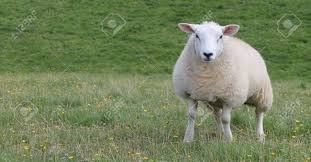 d942a285-c586-4669-a921-0e8beeb0aec2