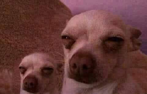 20c34bc3-8aa0-42ce-a7de-523d5159080a