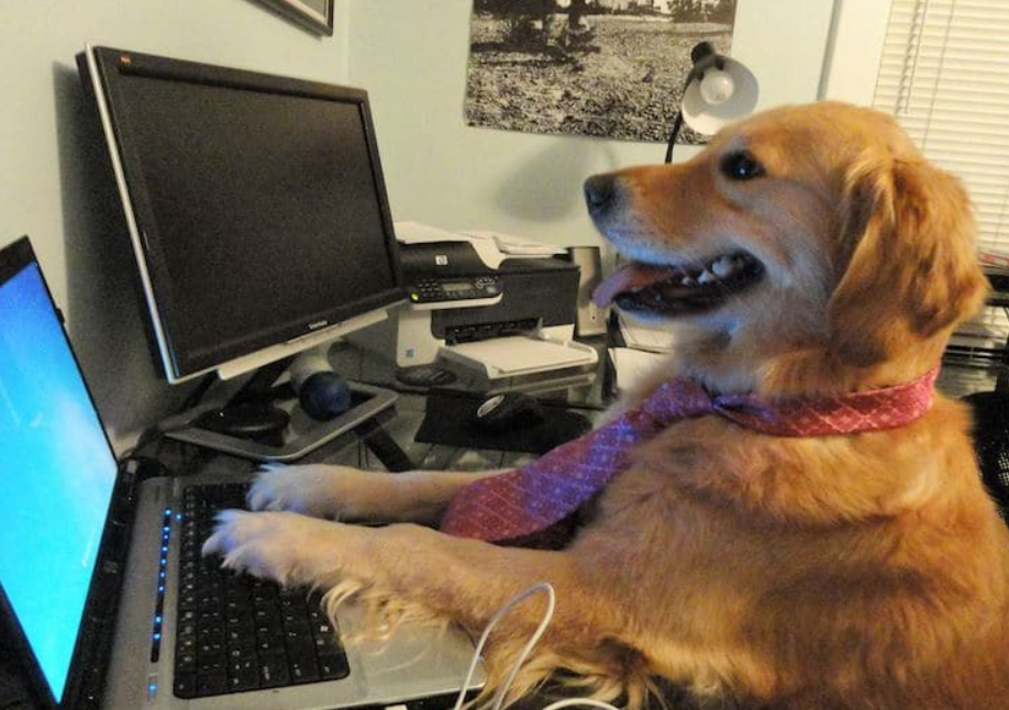 75653e28-b4f1-4e49-b9b1-04a9f027b084