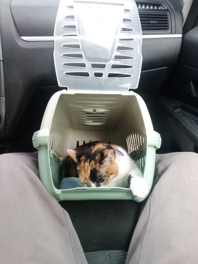 45c36512-14ca-4eb1-8d34-284a0a7bfeea