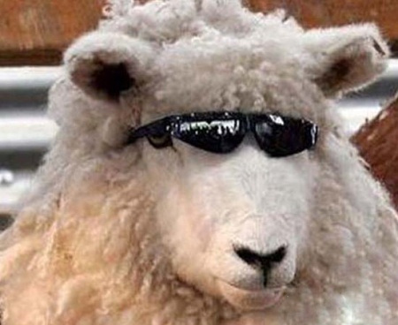 bc7dc6de-e92f-41e4-9ac5-6de5fc00d0f8