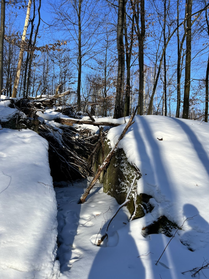 d82b7ae5-4e52-496e-bbbb-c831ab3170a8