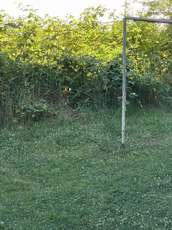 e88c4628-a8cb-476c-9420-05555e798c4f