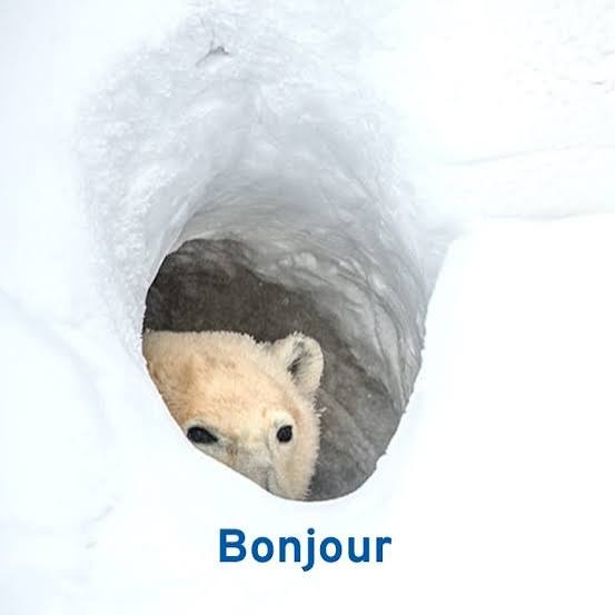 8fba1369-6201-451a-b923-c5098e2b7a48