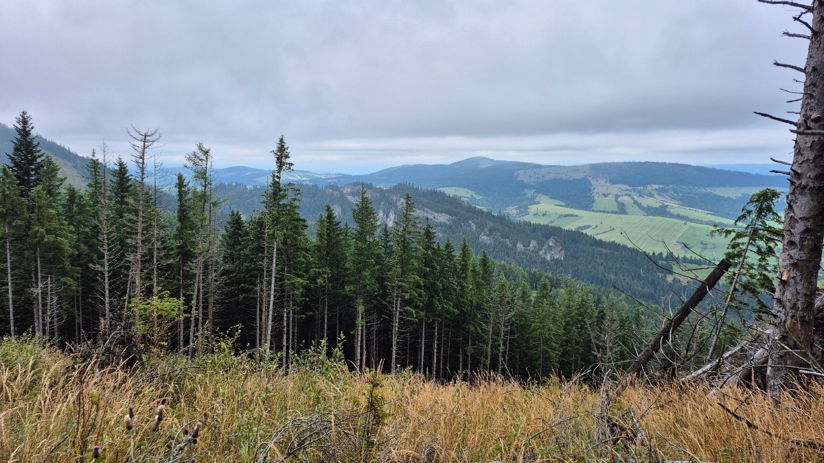 47eb9c88-3dd8-43d8-9fdd-c73baa244aa3