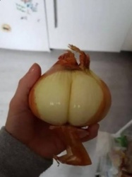 5f7c9011-0785-4242-a2a4-70bde99ae450