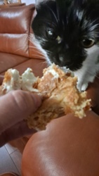 32301715-b3de-428b-a44b-87add26edba2