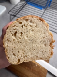 1e481c58-fda1-47fc-8062-f33d4d659260