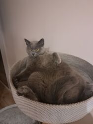 5d6df1db-1cb7-4c82-b7c2-b3e67b4959f8