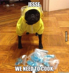 58b3e6d7-545d-423d-8030-9eeb00949128