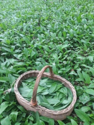 cd029397-bae4-4901-8c0c-75e50ae040a0