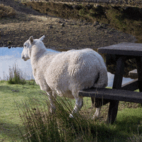 5eb80761-0a56-45fd-8339-7ee2bde93fc5