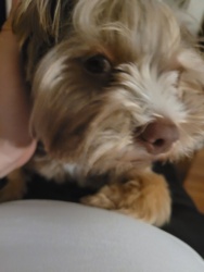 4a301814-202f-4762-9290-767eaca4627c