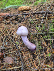 ec550ee8-295c-49c7-81d4-c00d3692e6d1