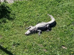 f8cc0f2a-461a-44eb-b83d-5e7c66b1883c