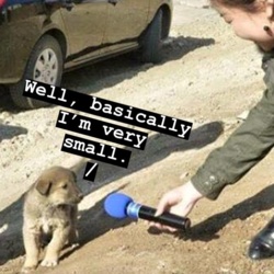 f9a943c4-71e1-450d-ad18-596d61f30a07