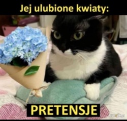 486ca071-735e-43fb-a9ce-b291ac762695