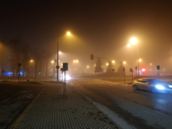 81101ea7-5c80-454d-a4cc-b3634ba82d00