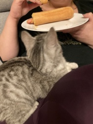 b97f023f-9cef-4594-b1f4-3f64e626ed92