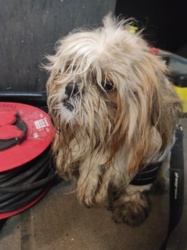 0c1b1354-6630-4729-a6a5-e17d0bc78fef