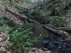 7aa8c679-e63c-4014-869c-e32c16de48d2