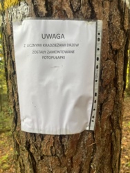 21e93e94-2e04-4837-827c-511ceb7b228e