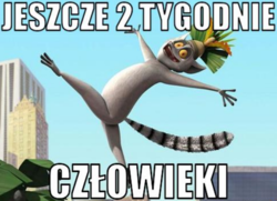 e6d10689-7ff1-4c94-9eae-f744d5b3632b