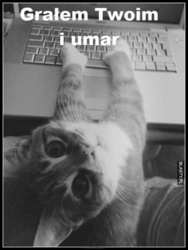 95e099b6-0a54-4ef6-b2b3-0706cde638d5