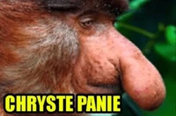 e46dd757-091a-4a97-a608-630723279f82