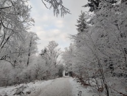 aee4358d-450d-41e0-9a17-955532818c6e