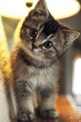 d16fe147-a54c-4b0b-8041-f00c981ff5c2