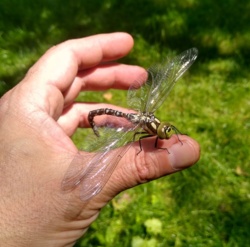 eb2490fa-48c7-468b-8587-797aa282e7d1