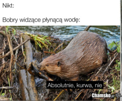 d76a3a2a-5b44-4c27-bf60-5af30f42895d