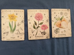 26ae7545-e4e9-43c7-b019-a9d7af5eb66d