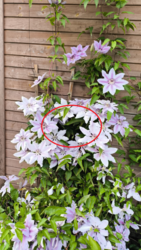 6525b830-a18a-415d-8371-82defc1b3f94