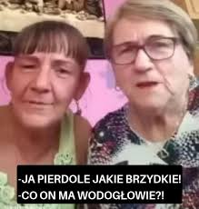 c5623307-55eb-4a93-9efa-93354fcd9c4e