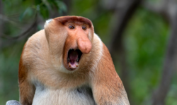 2b52d994-5273-43df-a418-08d19c921bd5