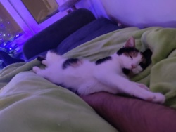 b2ba4260-fe6a-46eb-a52c-527d11f612e2