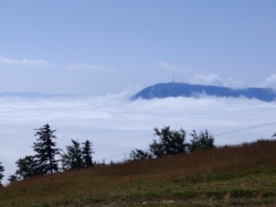 2c168d3e-5ff2-4b92-9cd6-93c93de494fb