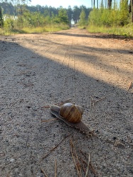 fa29a229-d3cd-4863-8d96-f689def61316