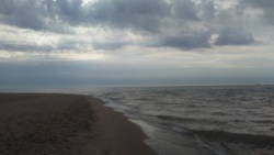 efcf01f0-2476-491b-ab65-210b2afef399