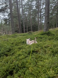 aa47e175-a9b7-4717-889c-0837a889be27