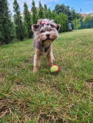 80892d4b-9b79-48d7-805a-df52eb8d3925