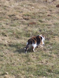 ec9fd784-5c18-4d2c-a144-5b16e68ab8c8