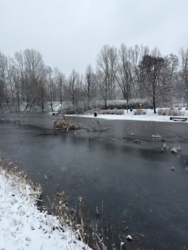 d6edca8b-61c7-4b9c-af3a-41f9132a22dd