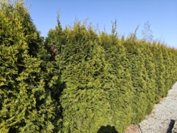 48dfba1b-18aa-4bec-8e38-8d75fa6b4f60