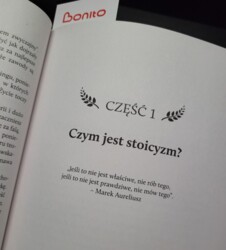 18e9e56a-885d-4b09-82f7-d44661e1d748