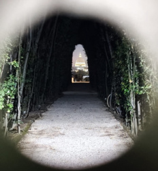 da1be3cf-b539-4878-91a1-7ef0da36e1d3